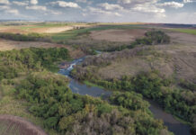 Cosmópolis em fotos meio ambiente