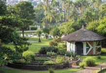 Jardins Botânicos, destinados a estudos e à preservação ambiental Jardins Botânicos