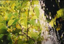 Gruta Nossa Senhora de Lourdes