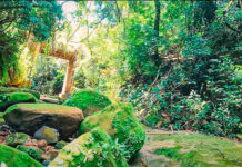 Ponte Funda – Cosmópolis-SP